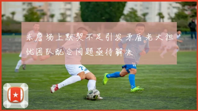 东詹场上默契不足引发矛盾老大担忧团队配合问题亟待解决